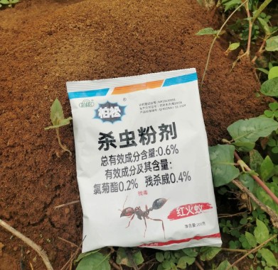 紅火蟻紅螞蟻殺蟲粉劑螞蟻藥紅火蟻紅螞蟻野外殺蟲粉劑家用